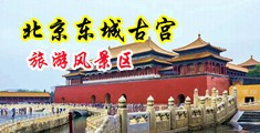 肥臀熟女荡妇视频一区中国北京-东城古宫旅游风景区